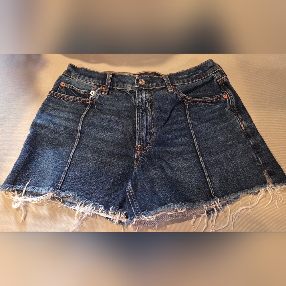 American Eagle Outfitters Indigo Frayed Hem Denim Shorts